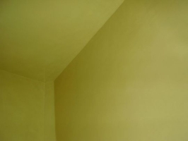 Colorspol - Firmenprofil